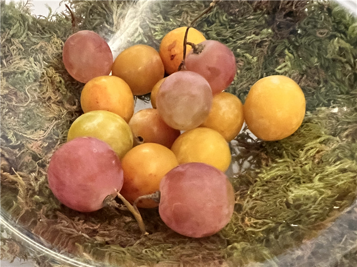 bowl of fruit